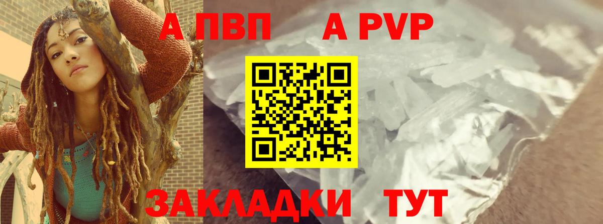 Альфа ПВП СК Зеленогорск