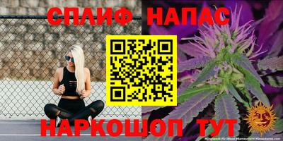 apvp Кунгур