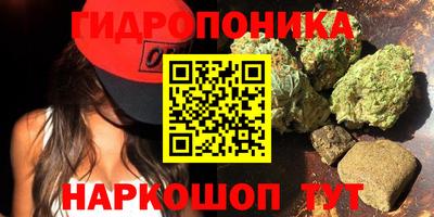 apvp Кунгур